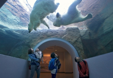 Shizuoka Municipal Nihondaira Zoo